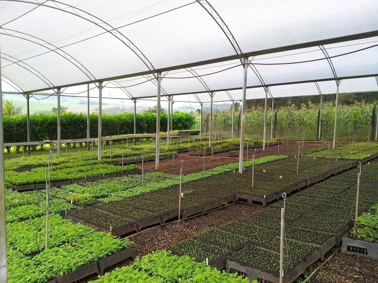 Afforestation, Reforestation & Restoration